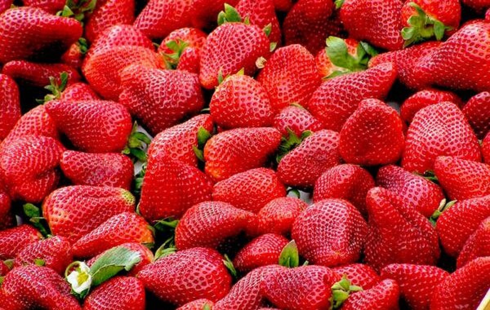 10 Masker Tampang Alami Pengganti Skincare Untuk Kulit Sehat