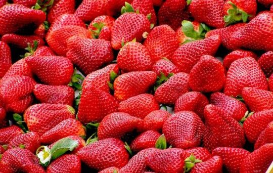 10 Masker Tampang Alami Pengganti Skincare Untuk Kulit Sehat