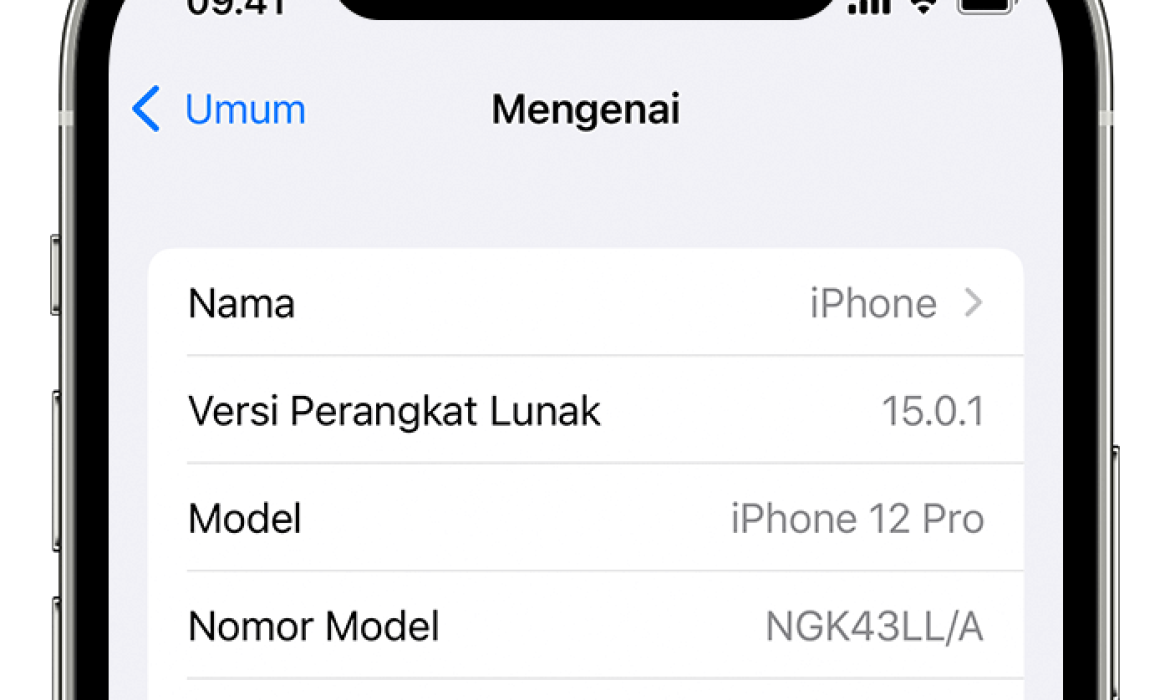 Cek Imei Iphone Ori Resmi Ibox Kemenprin Dan Iunlocker