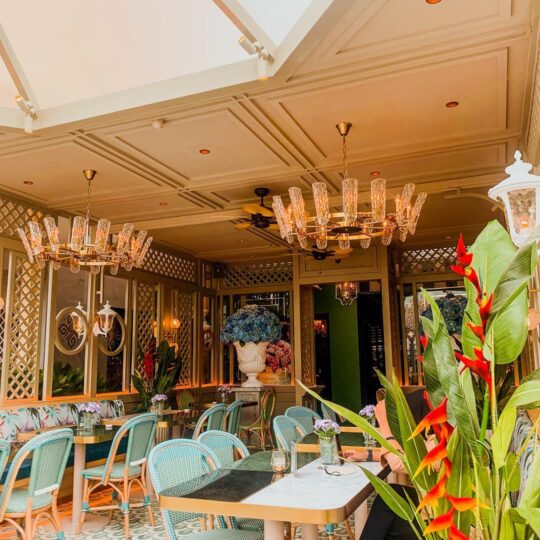 The Glass House Bogor, Review Lokasi Dan Menu Cek Di Sini!