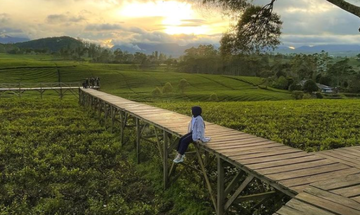 Nuansa Riung Gunung Pangalengan: Lokasi & Harga Tiket Modern