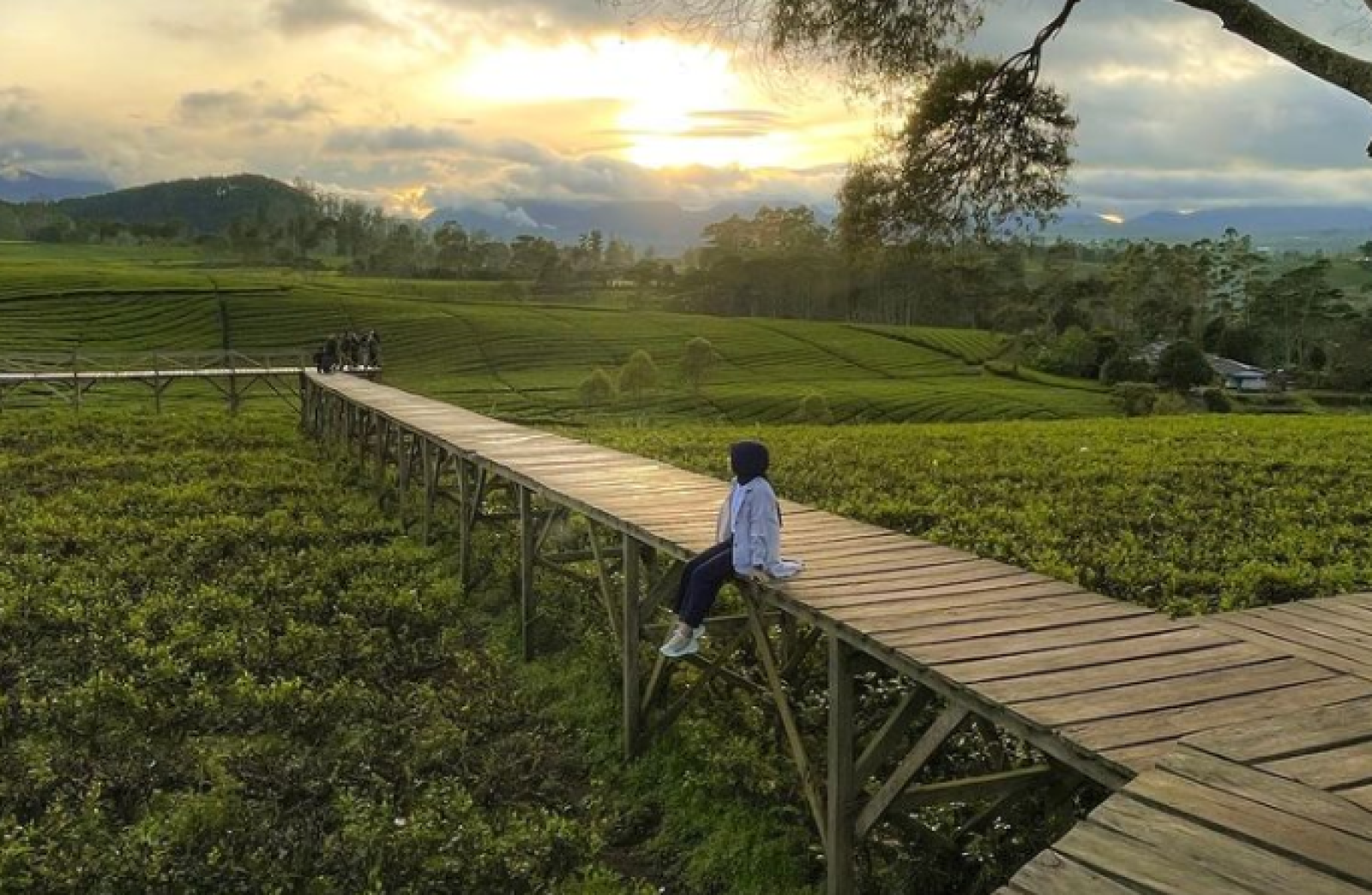 Nuansa Riung Gunung Pangalengan: Lokasi & Harga Tiket Modern