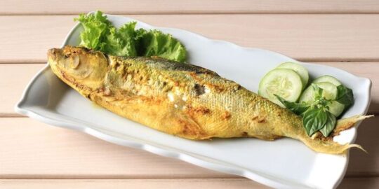 20 Makanan Khas Semarang Yang Yummy Dan Populer