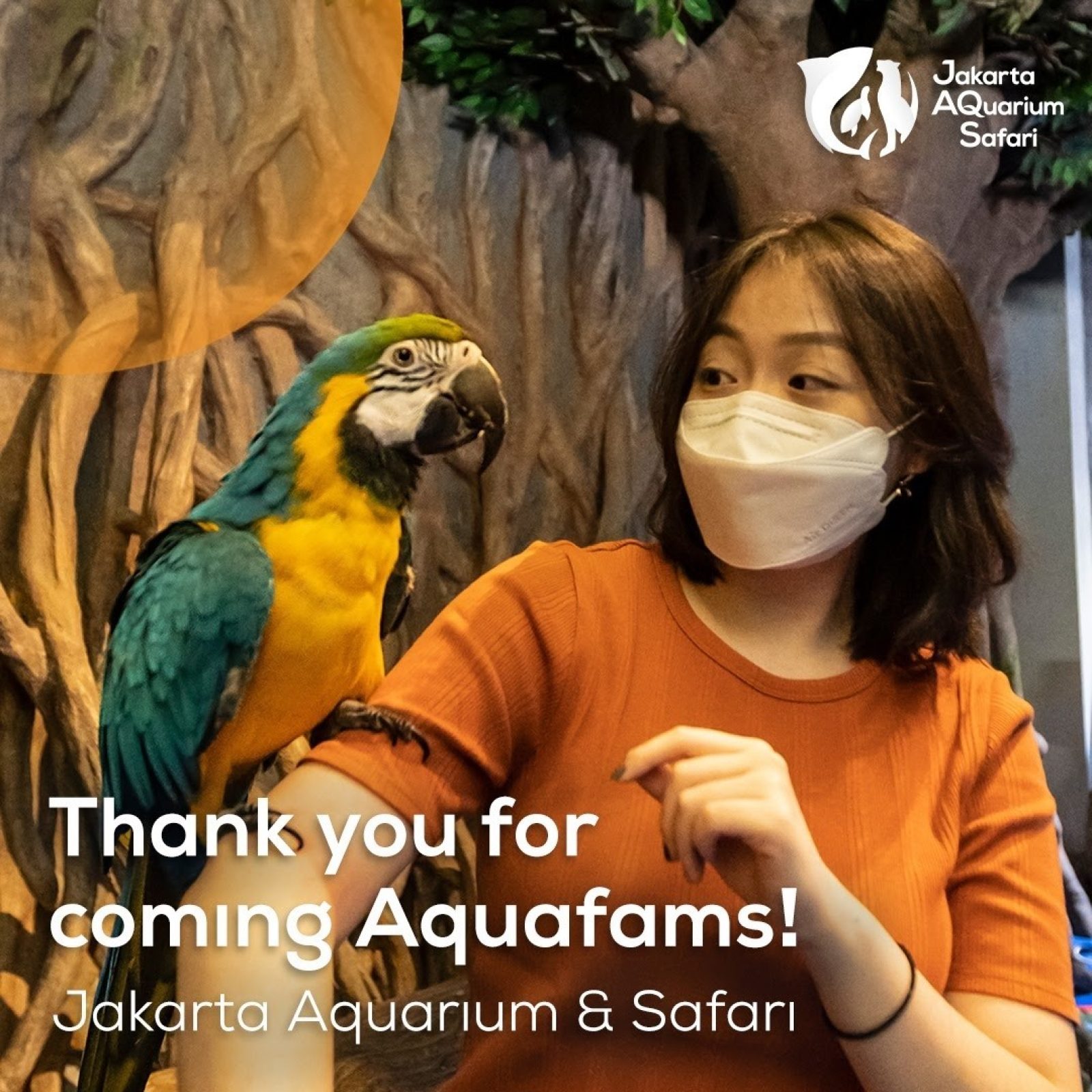 Jakarta Aquarium: Pengalaman, Harga Tiket Masuk, Dan Jam Buka