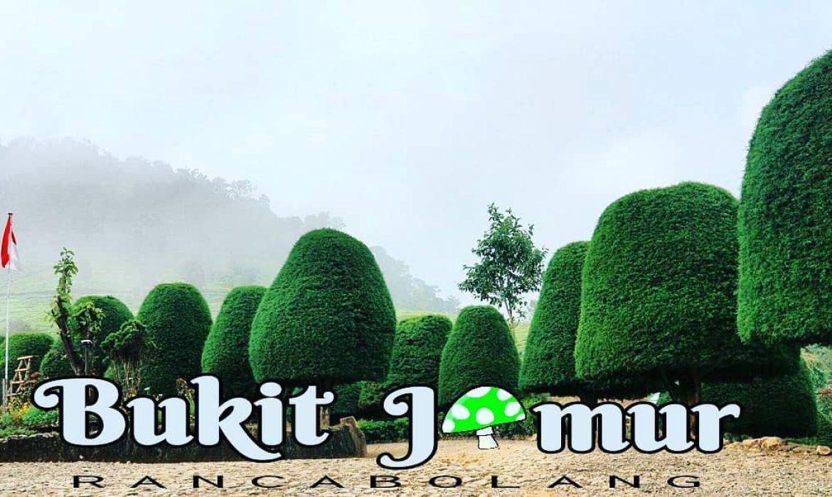 15 Kawasan Rekreasi Di Ciwidey Modern Yang Wajib Dikunjungi