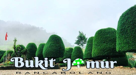 15 Kawasan Rekreasi Di Ciwidey Modern Yang Wajib Dikunjungi