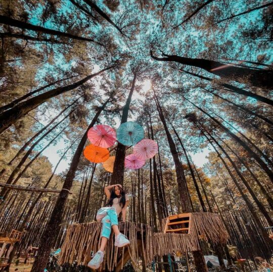 Daerah Wisata Di Bogor Yang Murah Semarak, Dijamin Puas