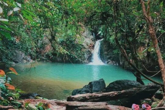Teladas Watu Dinding Kampar