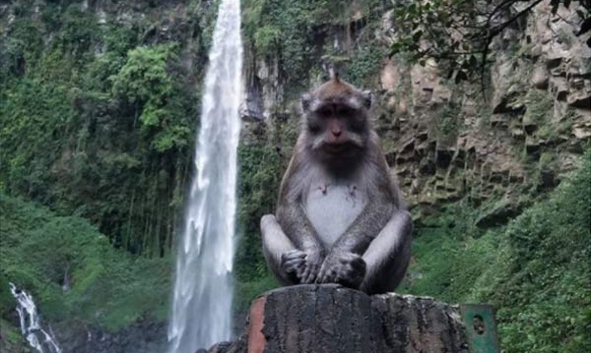 Teladas Grojogan Sewu Karanganyar