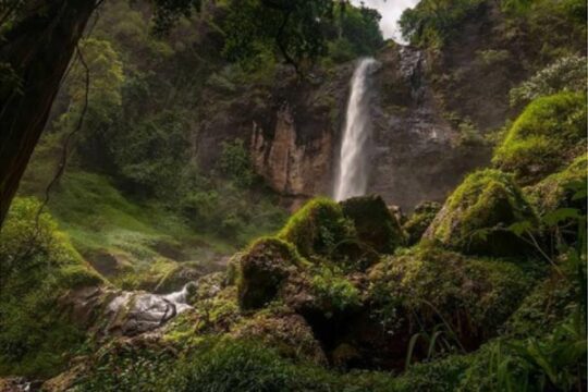 Curug Muncar Purworejo