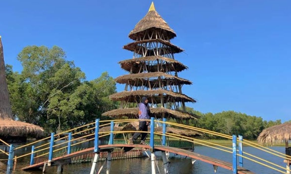 Danau Bebekan Lampung