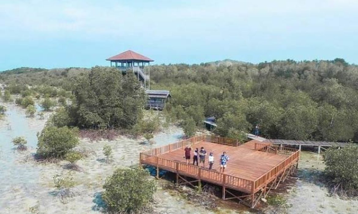 Hutan Mangrove Brebes