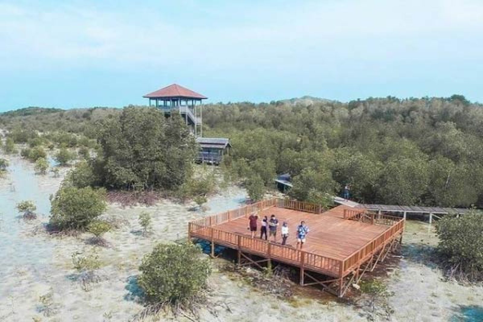 Hutan Mangrove Brebes