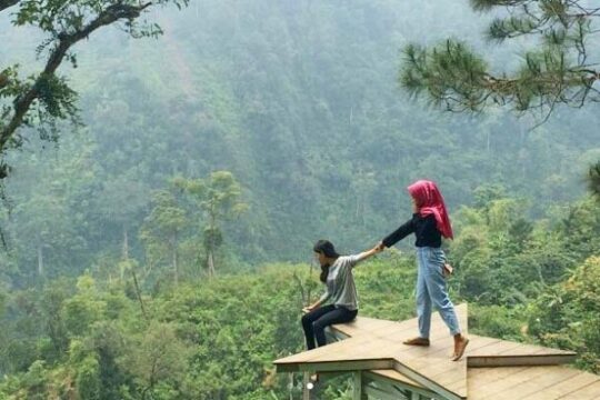 Hutan Pinus Pangonan Pati