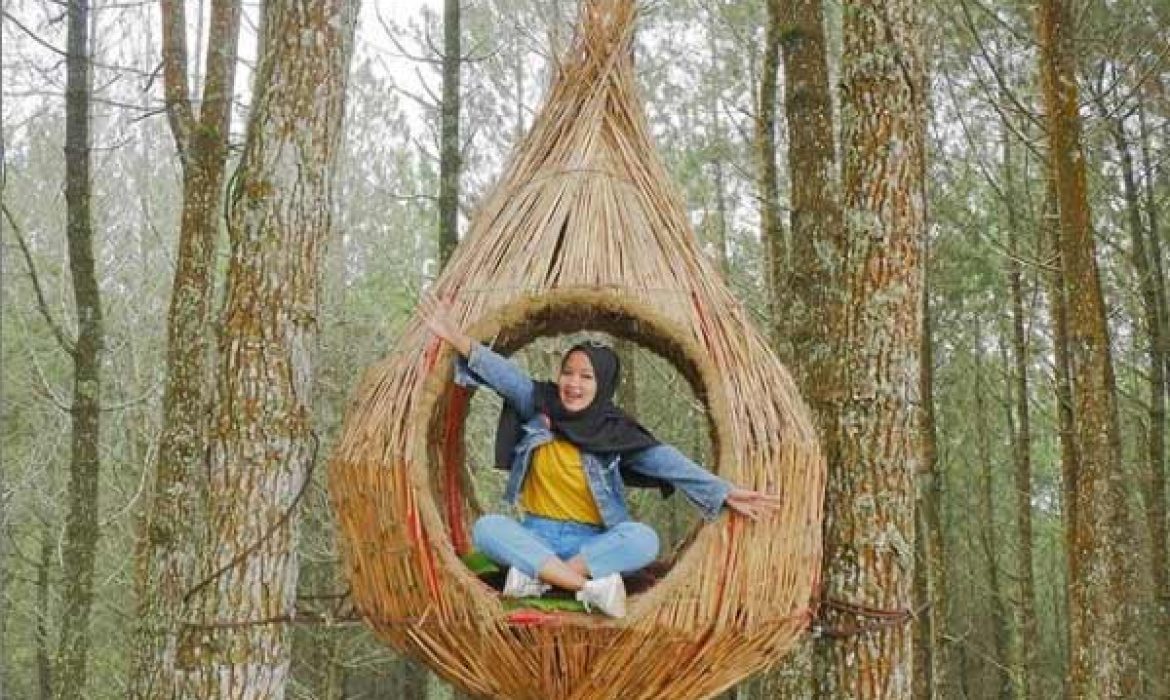 Kamojang Ecopark Garut