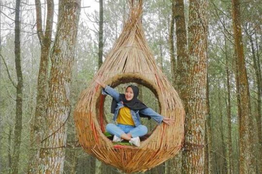 Kamojang Ecopark Garut