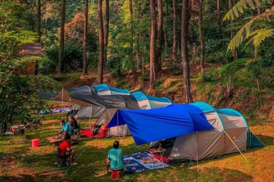 Kampung Rimba Camp Bogor