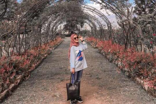 Kebun Mawar Situhapa Garut