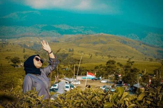 Kebun Teh Kemuning Karanganyar