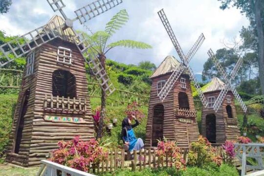 Kebun Teh Pagilaran Batang