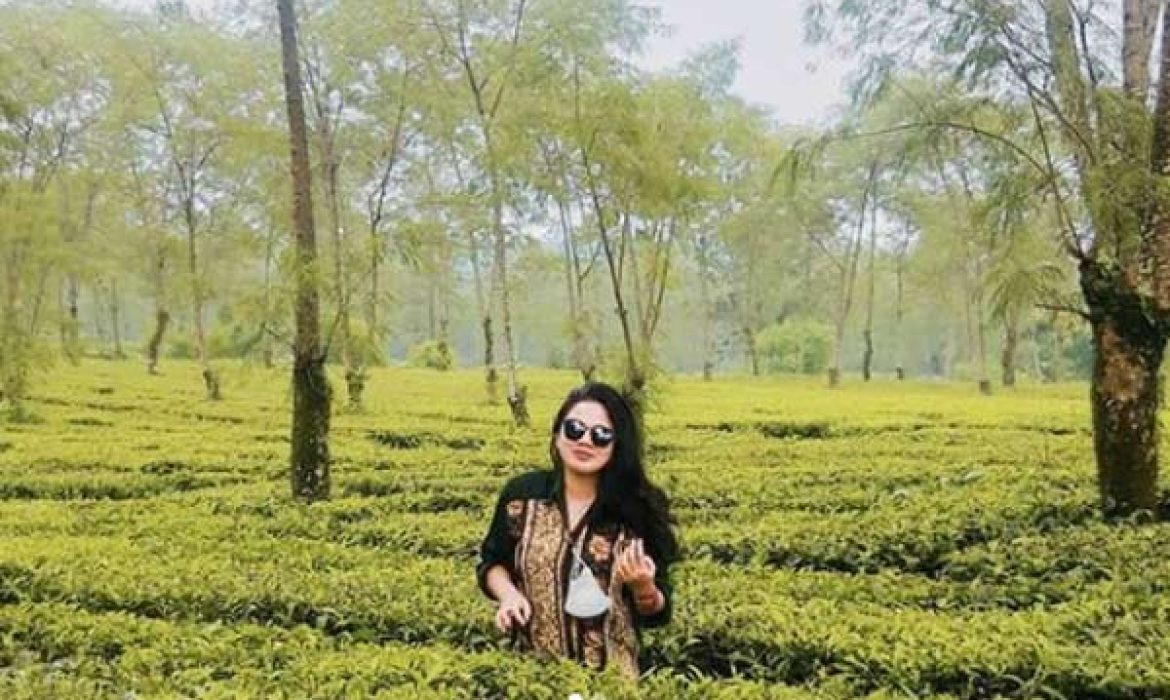 Kebun Teh Wonosari Malang