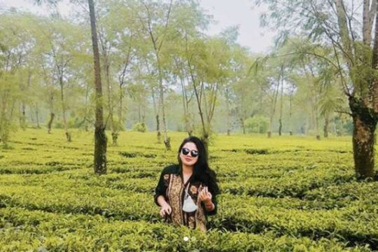 Kebun Teh Wonosari Malang