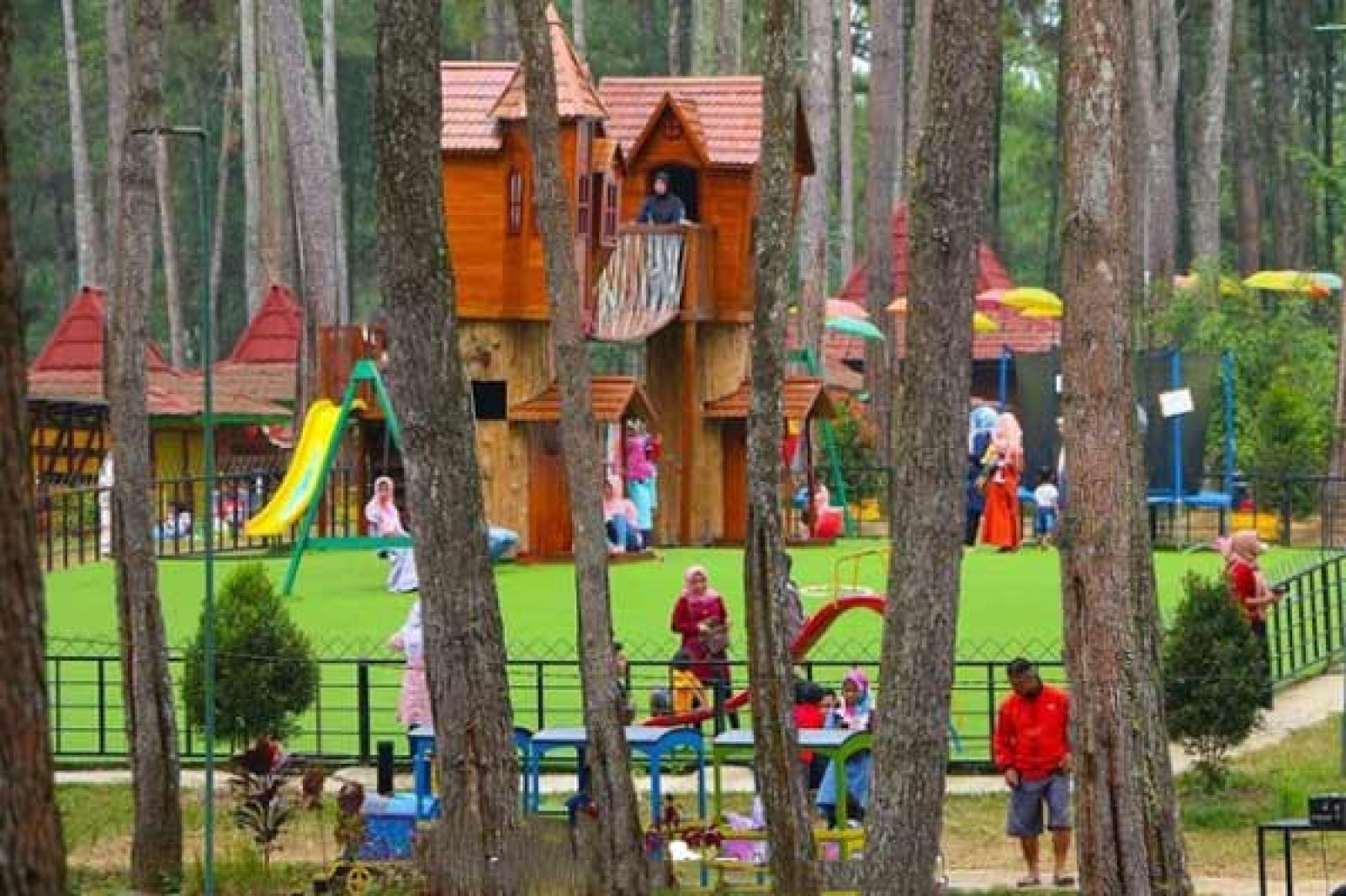 Kemit Forest Cilacap