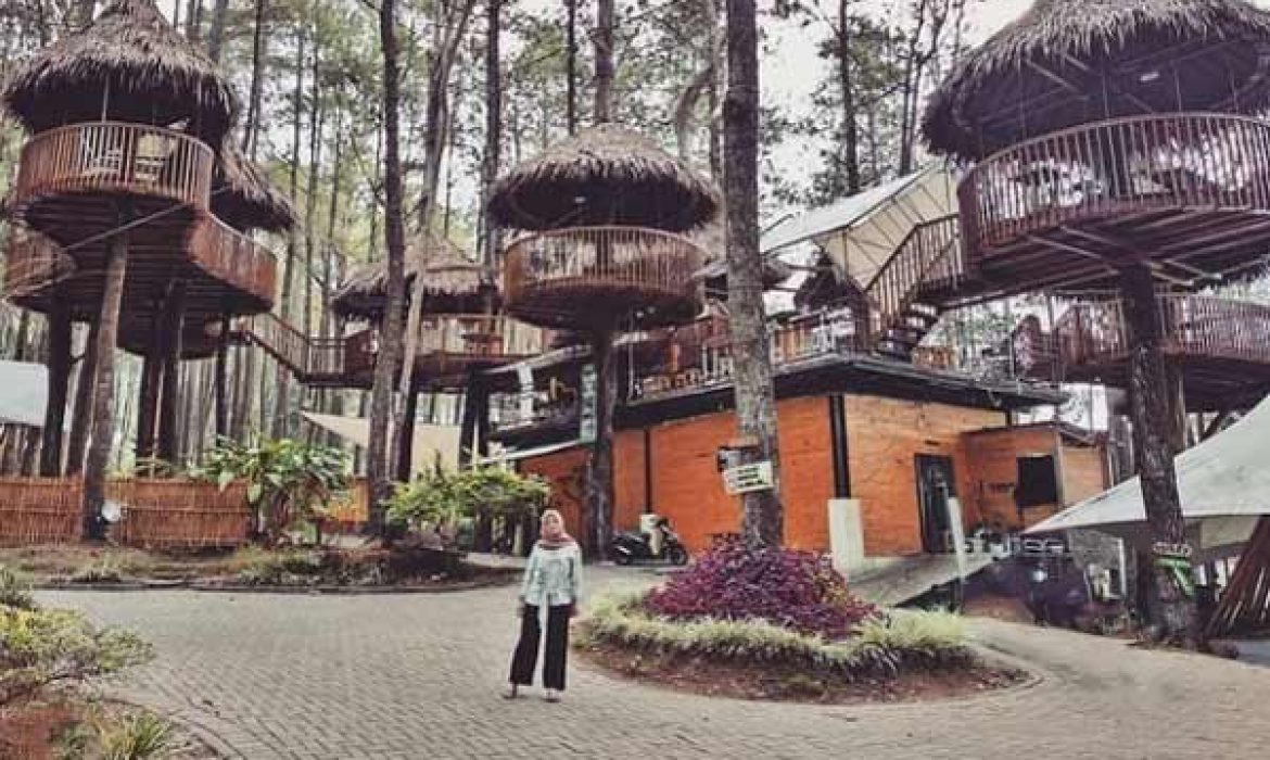 Kopeng Treetop Adventure Park Salatiga