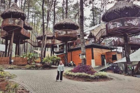 Kopeng Treetop Adventure Park Salatiga