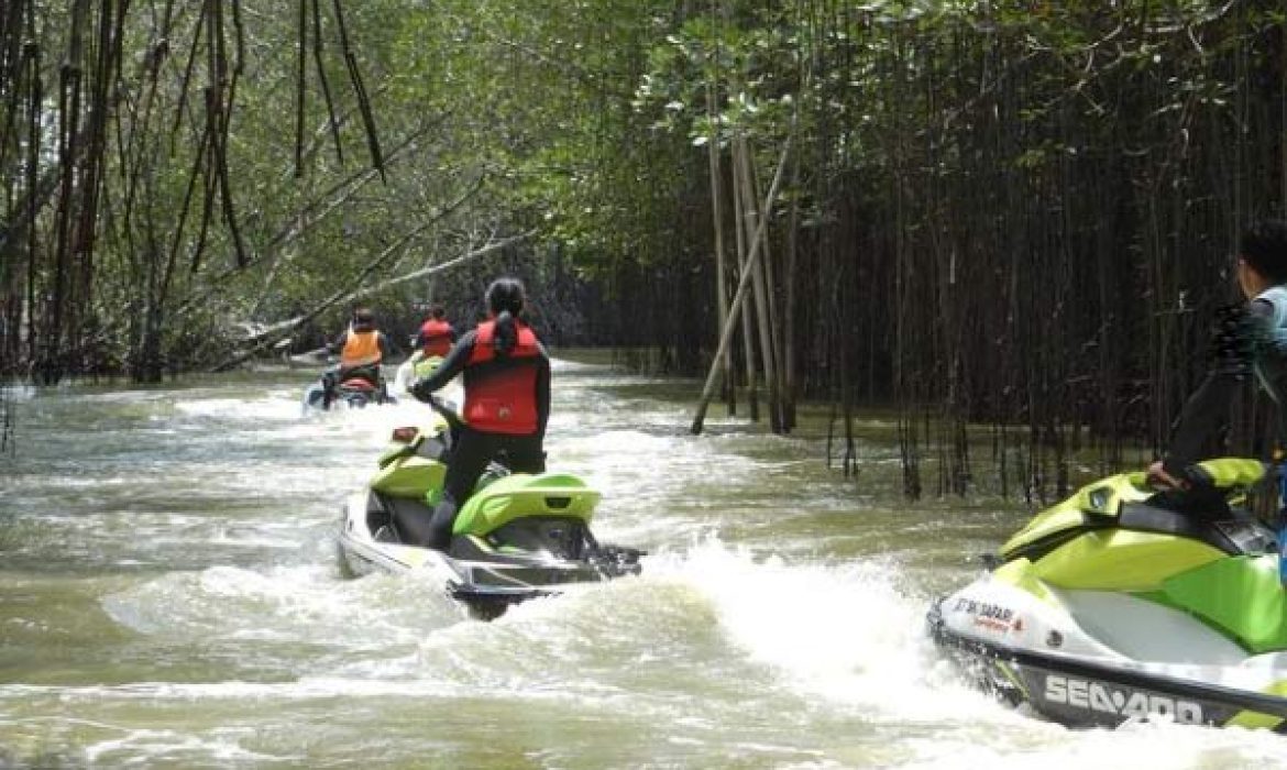 Hutan Mangrove Morosari Demak