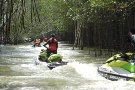 Hutan Mangrove Morosari Demak