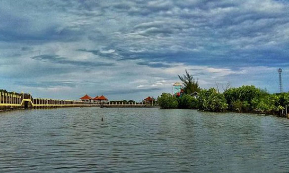 Mangrove Park Pekalongan