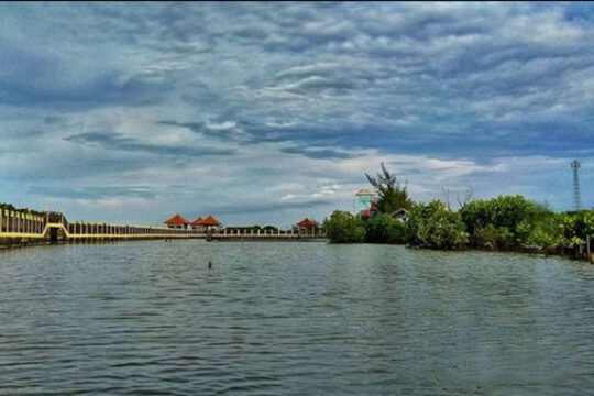 Mangrove Park Pekalongan