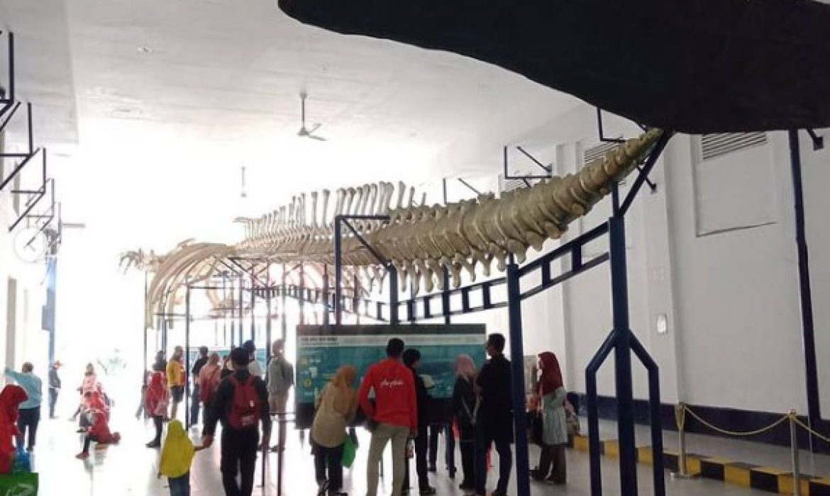 Museum Zoologi Bogor