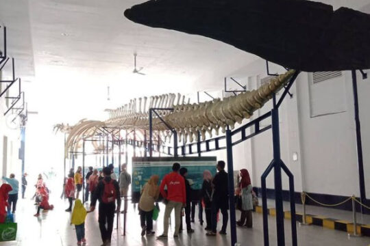 Museum Zoologi Bogor