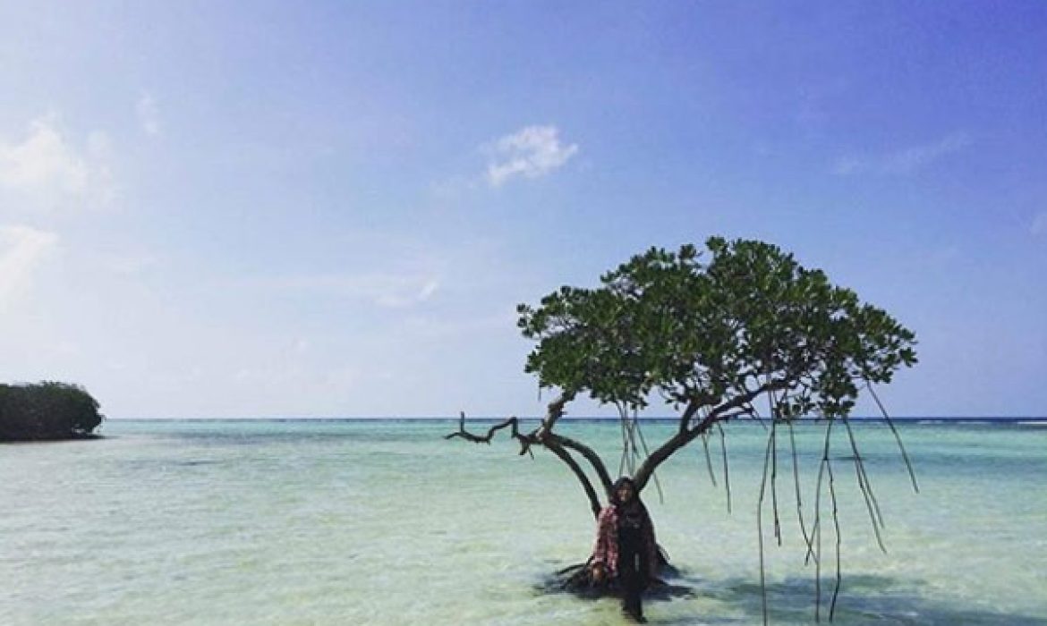 Pulau Biawak Indramayu