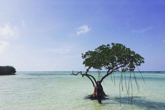 Pulau Biawak Indramayu
