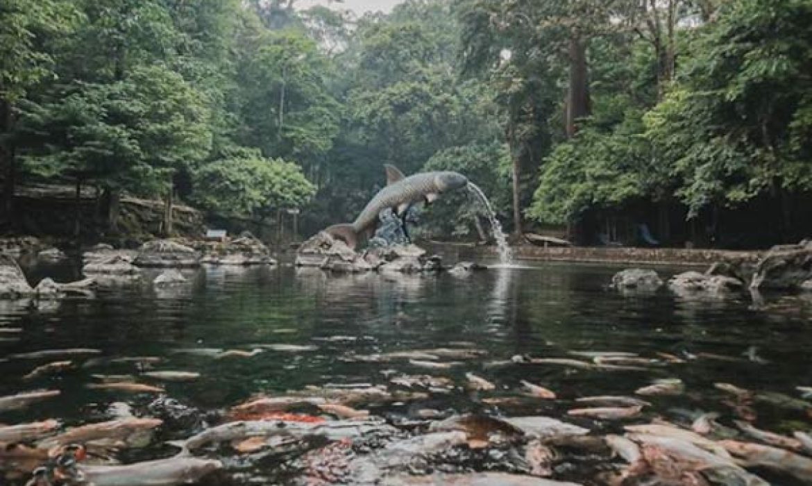 Situ Cipadung Majalengka