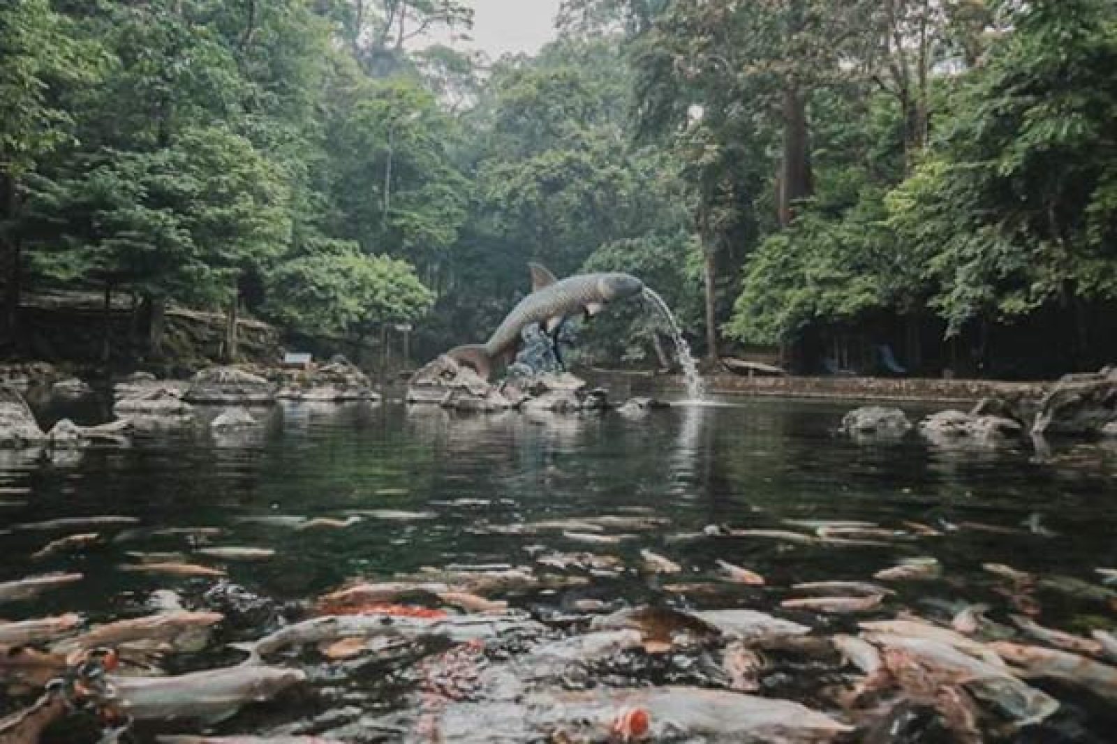 Situ Cipadung Majalengka