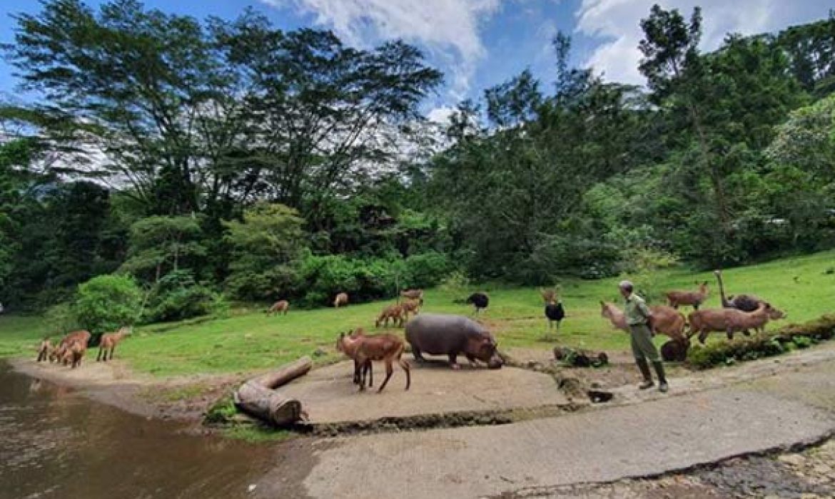 Taman Safari Cisarua Bogor