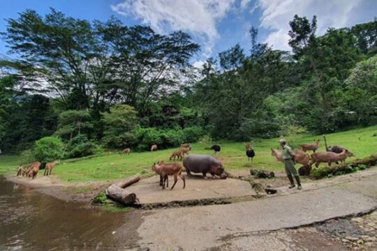 Taman Safari Cisarua Bogor