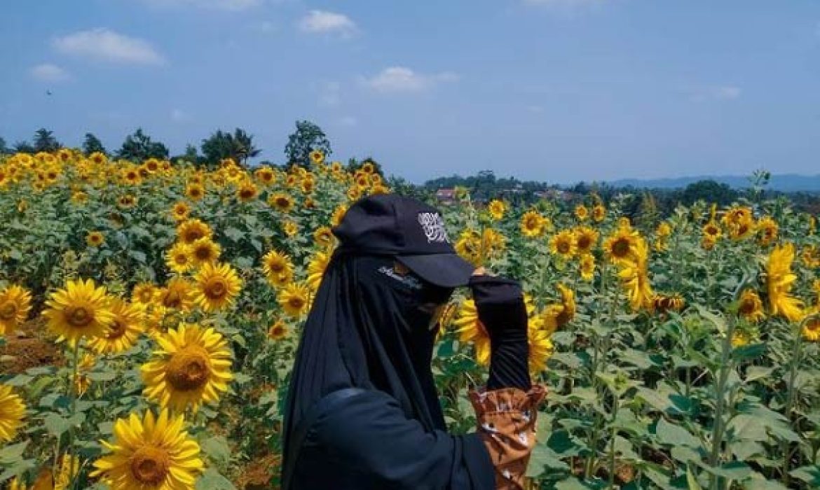 Taman Wisata Matahari Bogor