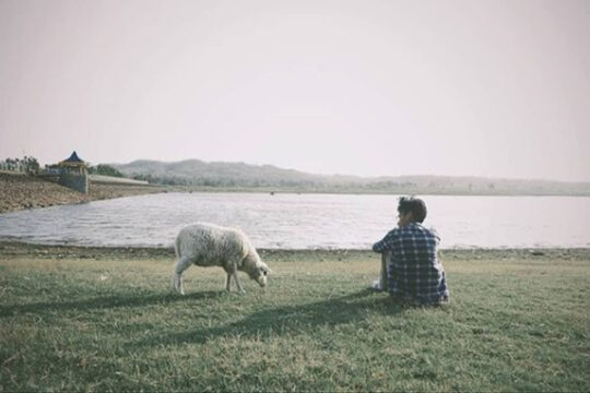 Waduk Bade Boyolali
