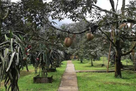 Warso Farm Bogor