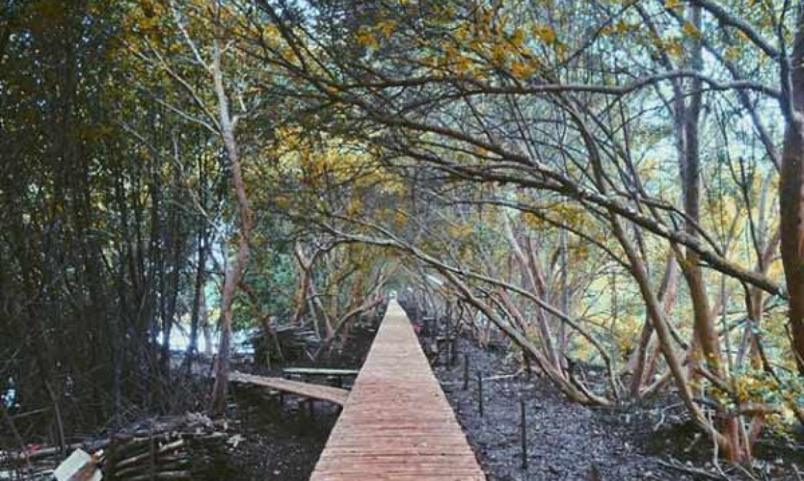 Rekreasi Mangrove Jakarta