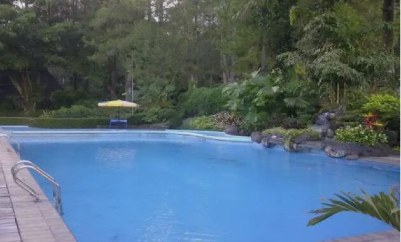 15 Hotel Murah Bersahabat Taman Safari Bogor Dengan Akomodasi Terbaik