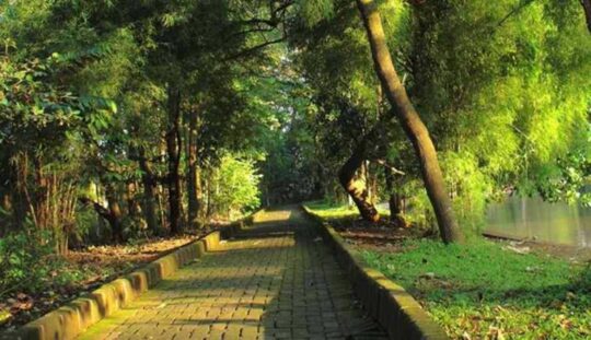 10 Daerah Wisata Alam Di Jakarta Cocok Untuk Wisata Final Pekan