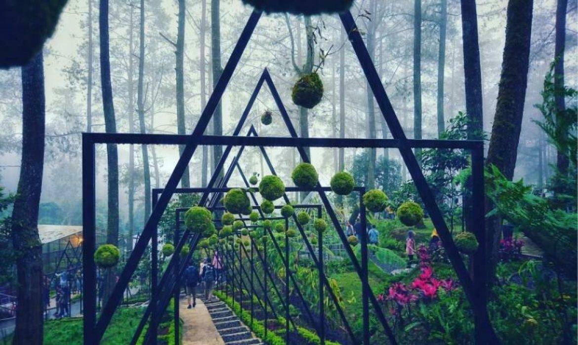 Orchid Forest Cikole Lembang Review Dan Harga Tiket Masuk