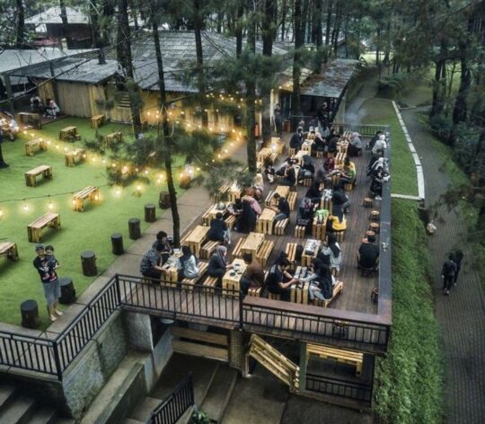 Kopi Daong, Tempat Ngopi Asyik Tengah Hutan