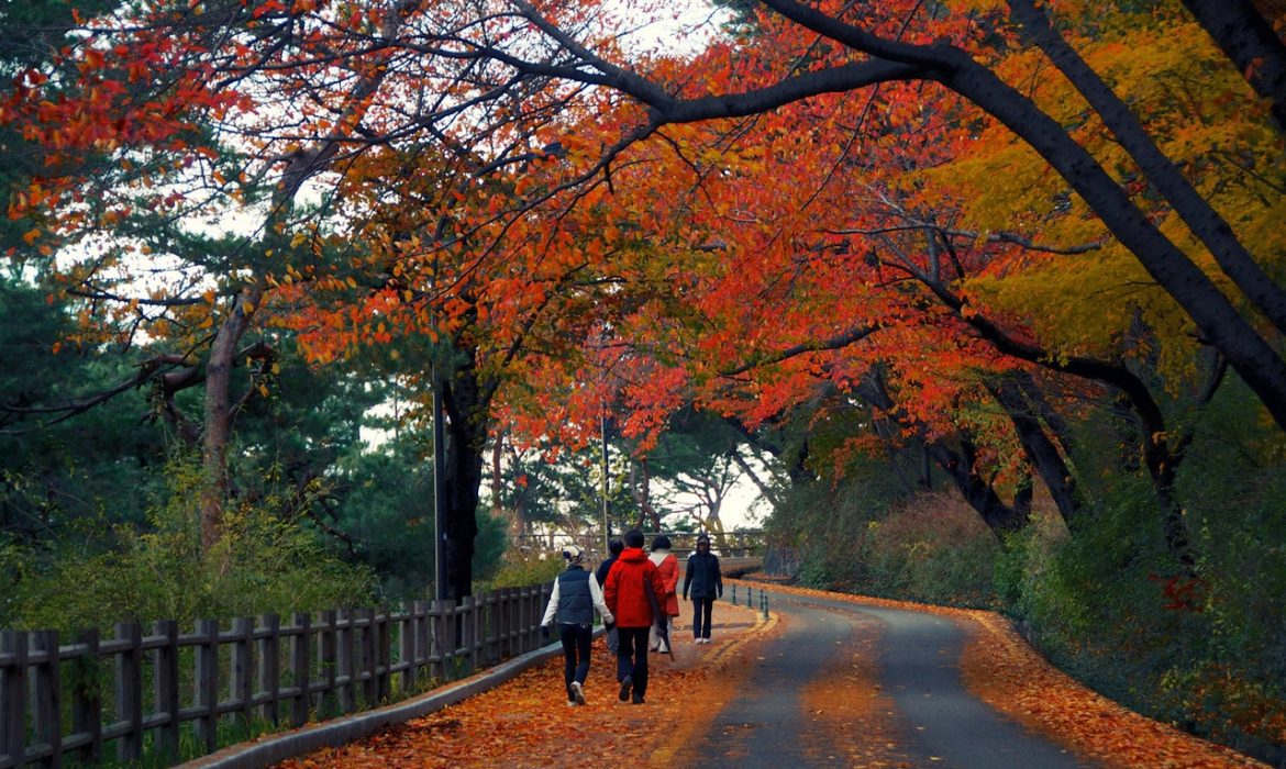 8 Kawasan Rekreasi Di Korea Selatan Terpopuler